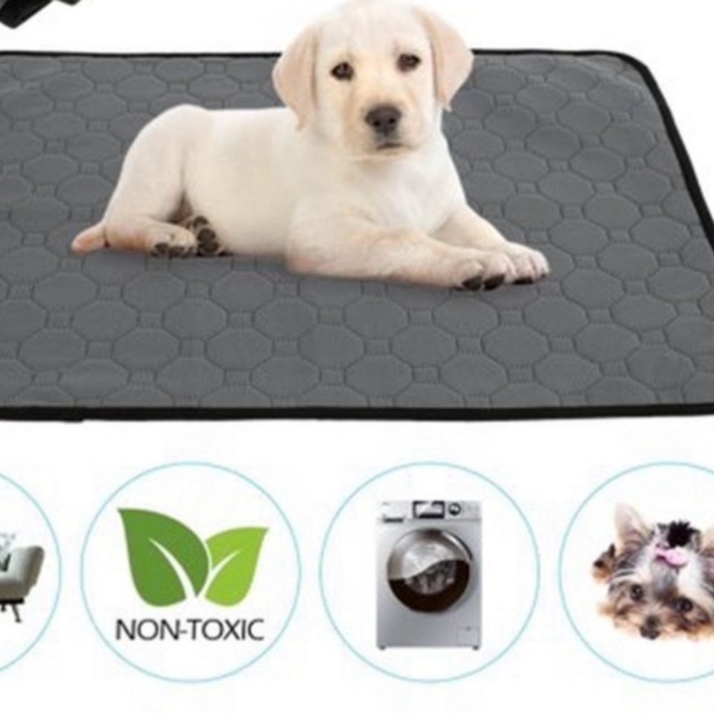 Pee Pad - seat protector